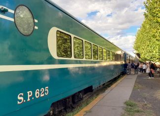 Los coches Pullman Hitachi (primera parte)